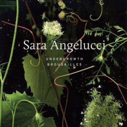 Sara Angelucci: Undergrowth / Brousailles