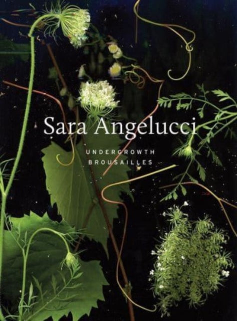 Sara Angelucci: Undergrowth / Brousailles