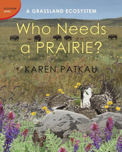 Who Needs A Prairie?: A Grassland Ecosystem