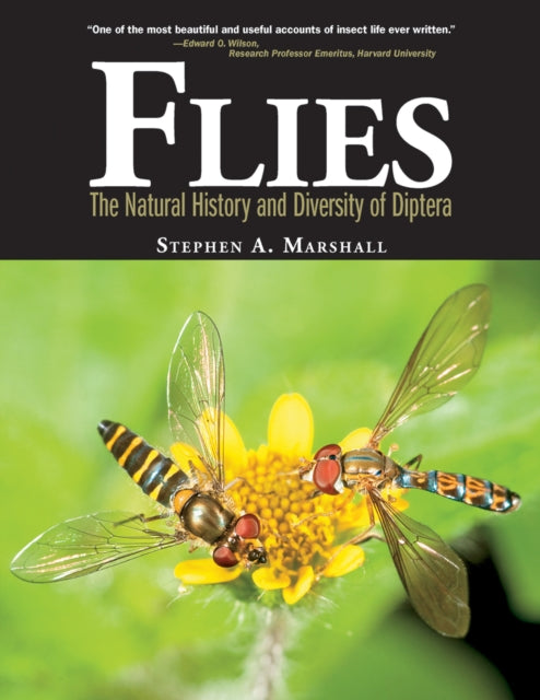 Flies: The Natural History and Diversity of