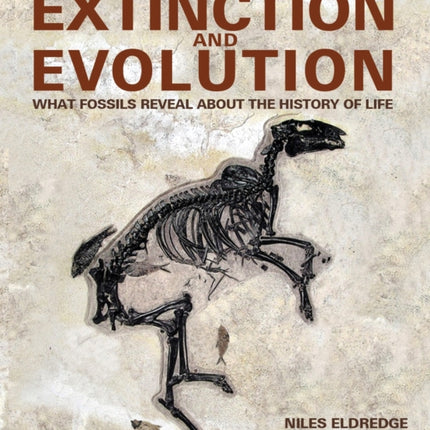 Extinction and Evolution