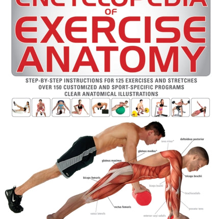 Encyclopedia of Exercise Anatomy