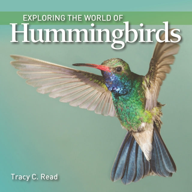 Exploring the World of Hummingbirds