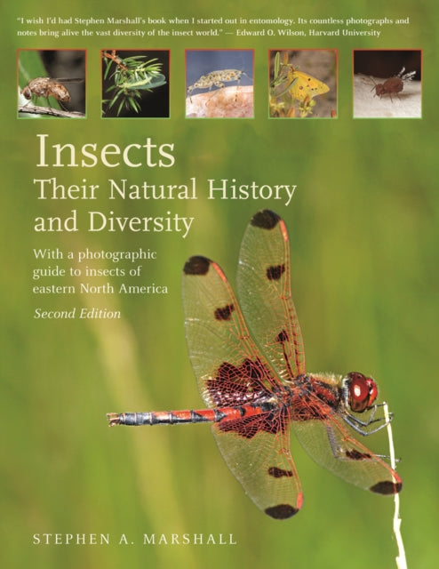 Insects: Their Natural History and Diversity