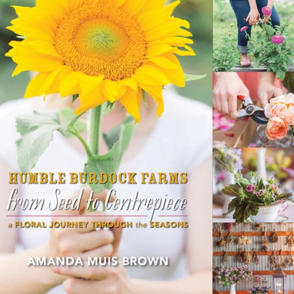 From Seed to Centrepiece: A Floral Journey
