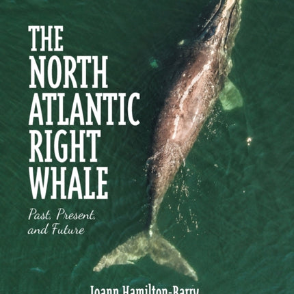 The North Atlantic Right Whale: Past, Present,