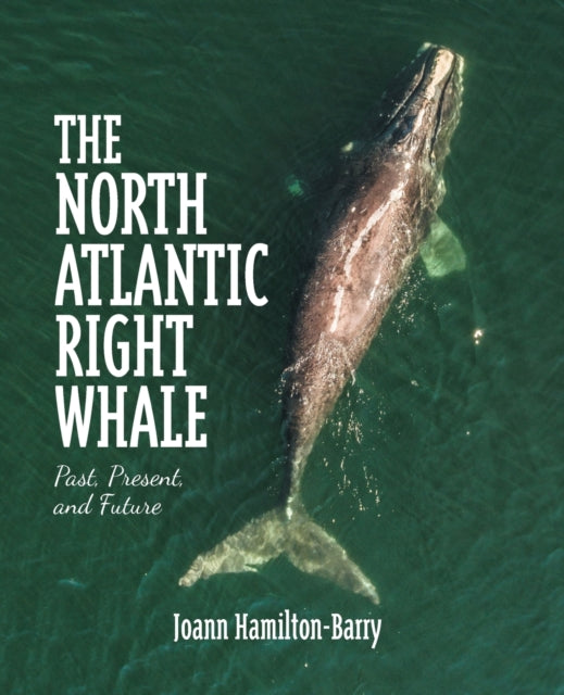 The North Atlantic Right Whale: Past, Present,