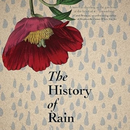 The History of Rain