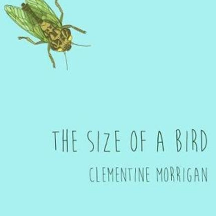 The Size of a Bird