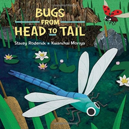 Bugs From Head to Tail