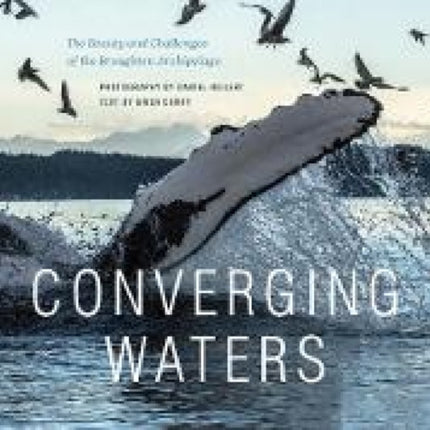 Converging Waters: The Beauty and Challenges of the Broughton Archipelago