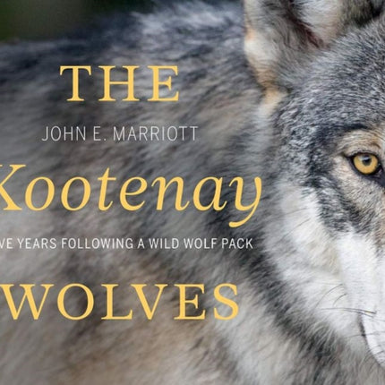 The Kootenay Wolves: Five Years Following a Wild Wolf Pack