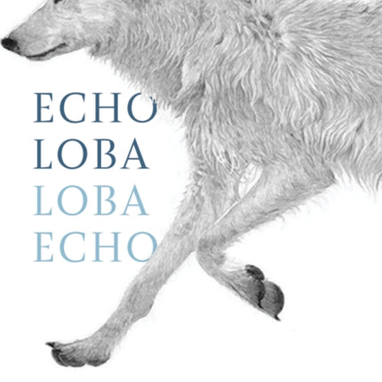 Echo Loba, Loba Echo: The Metaphor of Wolf