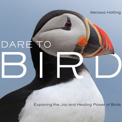 Dare to Bird