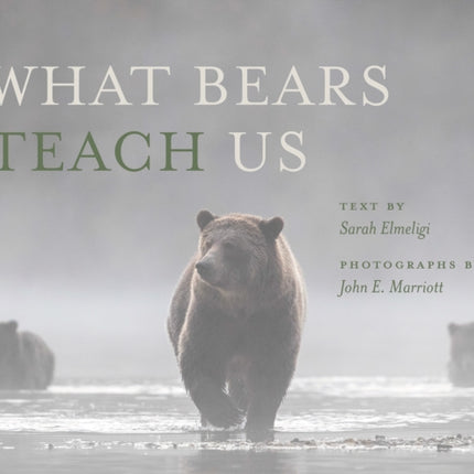 What Bears Teach Us