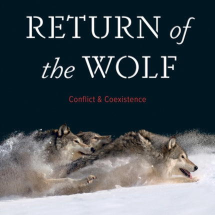 Return of the Wolf: Conflict and Coexistence