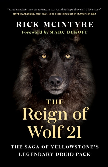 The Reign of Wolf 21: The Saga of Yellowstone's Legendary Druid Pack