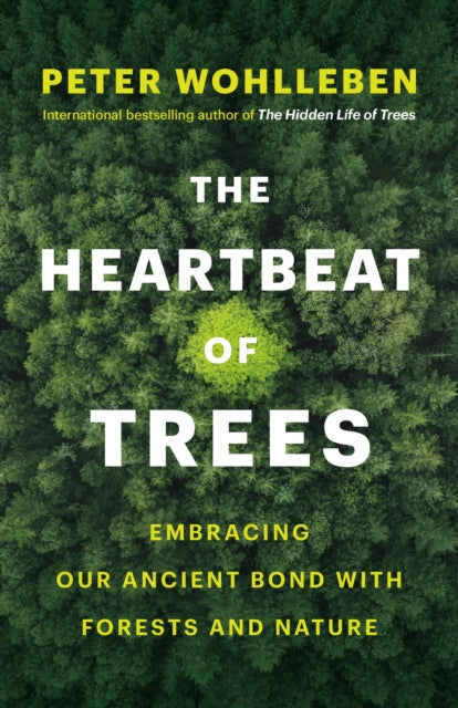 The Heartbeat of Trees: Embracing Our Ancient Bond with Forests and Nature