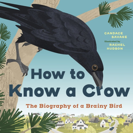 How to Know a Crow