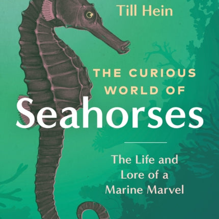 The Curious World of Seahorses: The Life and Lore of a Marine Marvel