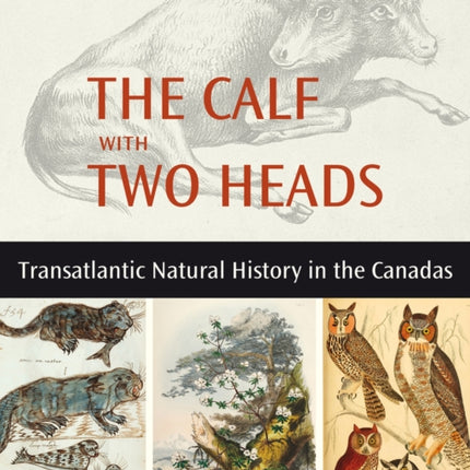 The Calf with Two Heads: Transatlantic Natural History in the Canadas