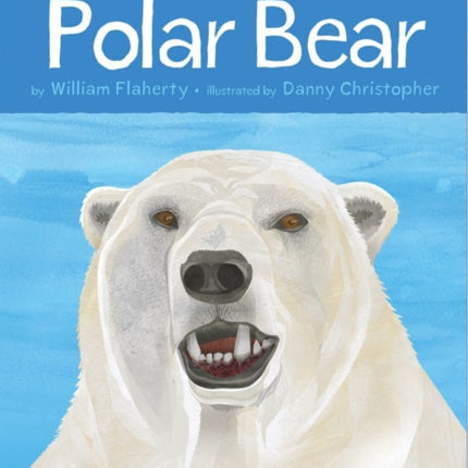 Animals Illustrated: Polar Bear