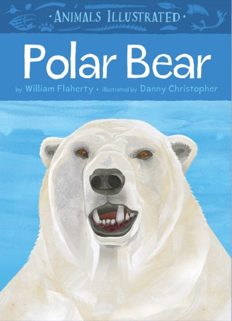 Animals Illustrated: Polar Bear