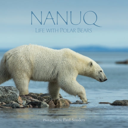 Nanuq: Life with Polar Bears