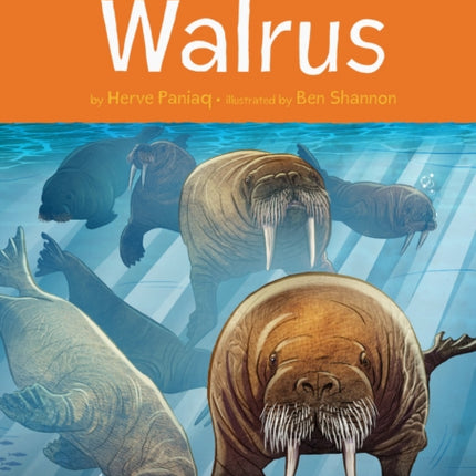 Animals Illustrated: Walrus