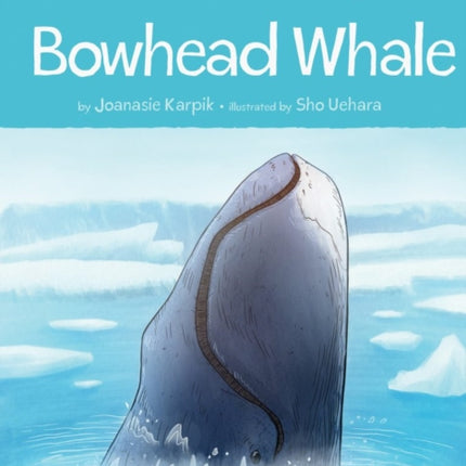 Animals Illustrated: Bowhead Whale