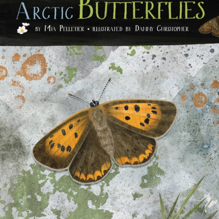 A Children's Guide to Arctic Butterflies