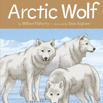 Animals Illustrated: Arctic Wolf