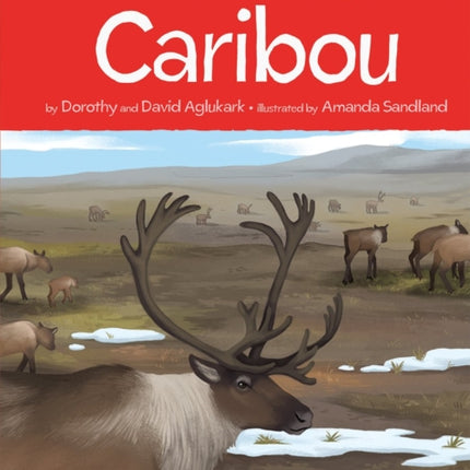 Animals Illustrated: Caribou