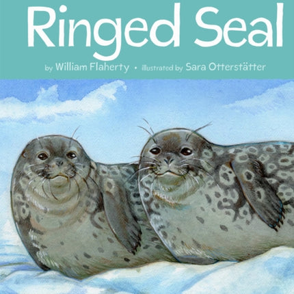 Animals Illustrated: Ringed Seal