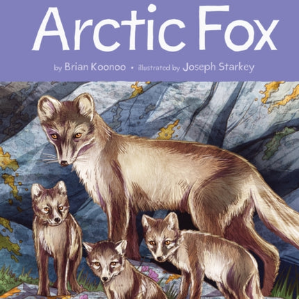 Animals Illustrated: Arctic Fox