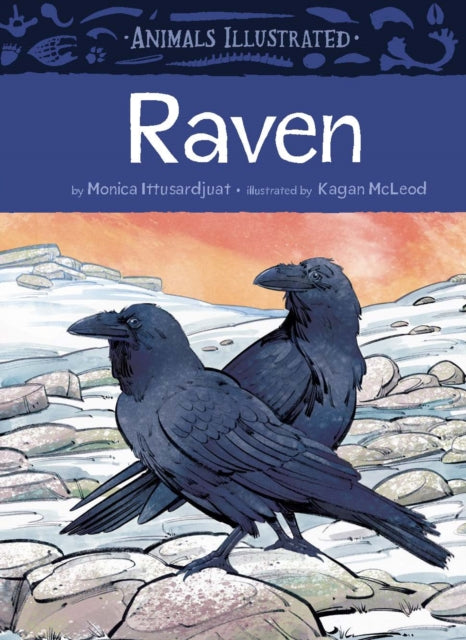 Animals Illustrated Raven