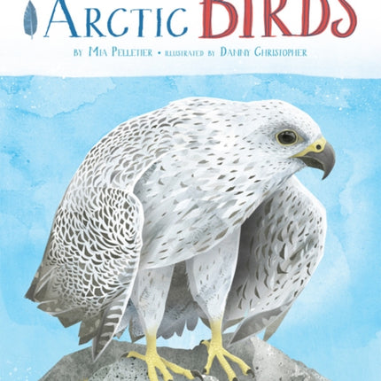A Childrens Guide to Arctic Birds