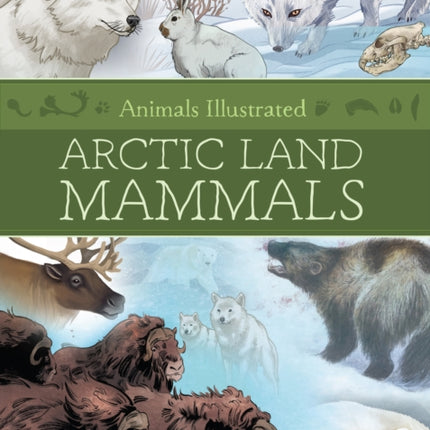 Animals Illustrated Arctic Land Mammals