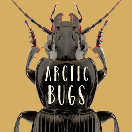 Arctic Bugs: English Edition