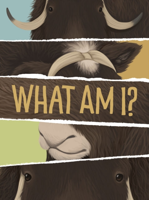 What Am I?: English Edition