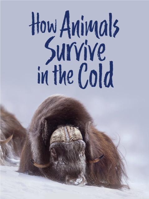 How Animals Survive in the Cold: English Edition