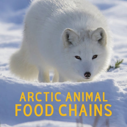 Arctic Animal Food Chains: English Edition