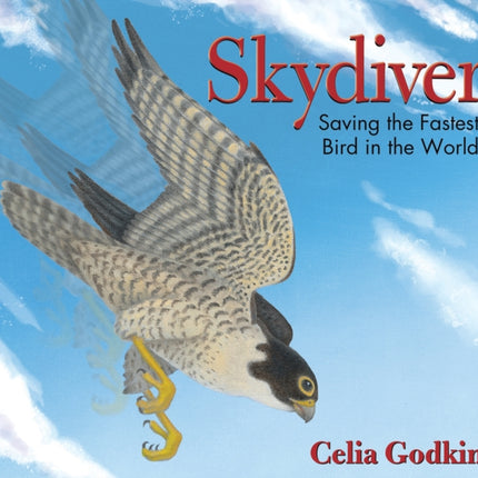 Skydiver: Saving the Fastest Bird in the World