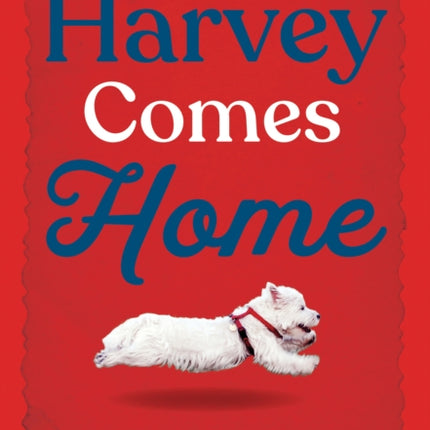 Harvey Comes Home