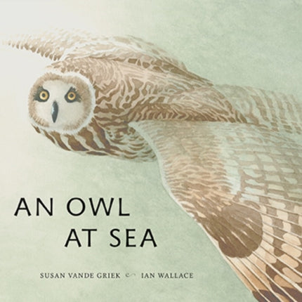 An Owl at Sea