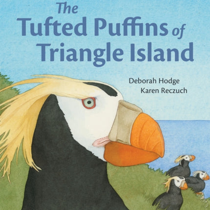 The Tufted Puffins of Triangle Island