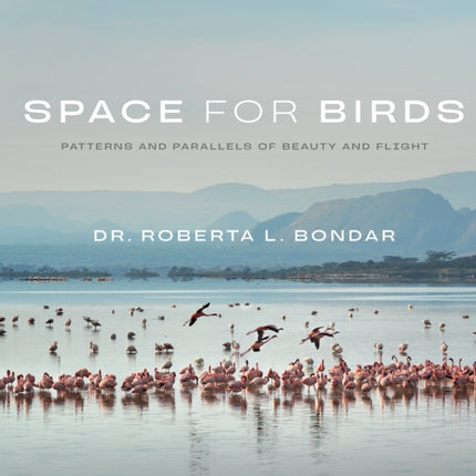 Space for Birds