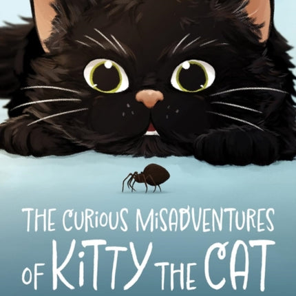 The Curious Misadventures of Kitty the Cat