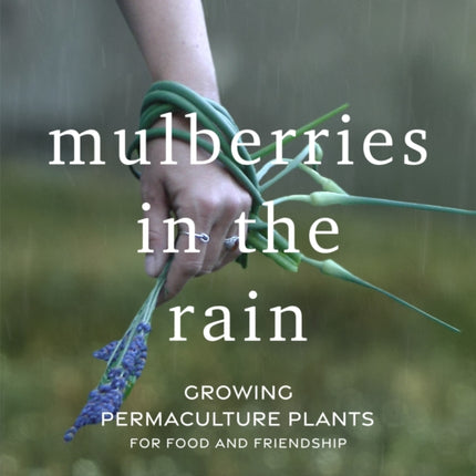 Mulberries in the Rain