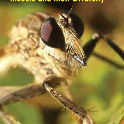 Introduction to Insects and their Diversity